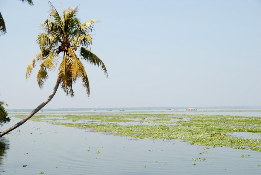 Lago Vembanad